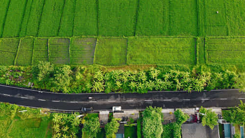 Anugrah Homes Residential Plots